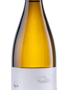 2024/02/1000029402.jpg O Extranxeiro blanco