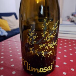 2025/01/JPEG_20250130_231212_1755835000292529965-scaled.jpg Mimosa