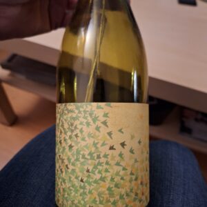 2025/01/JPEG_20250130_232223_7547407269400404814-scaled.jpg Donde baila el Polvo amarillo